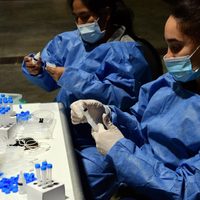 Coronavirus: se reportaron más de 1.700 casos y 20 fallecimientos
