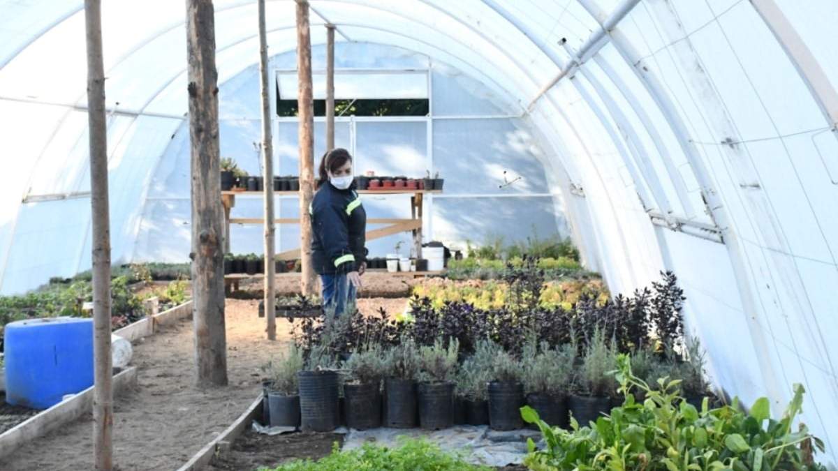 Flores y plantas para las mujeres en su día. Fuente: (Instagram)