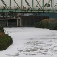 Buscadoras encuentran cuerpo sin vida en aguas negras del Canal La Compañía