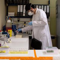 Avances en la investigación: secuenciaron nuevas cepas del coronavirus