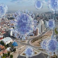 Coronavirus en Neuquén: qué dice el último parte epidemiológico