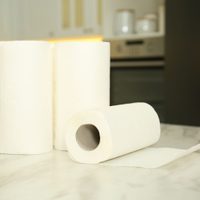 Mirá esta forma tan creativa de colocar el papel de cocina como servilletas sobre la mesa