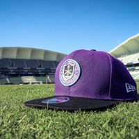 Congreso de Sinaloa pide cancelar cualquier trato que privilegie a Salinas Pliego por estadio en Mazatlán