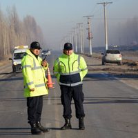 Accidente de tránsito camino al lago Pellegrini: un hombre perdió la vida