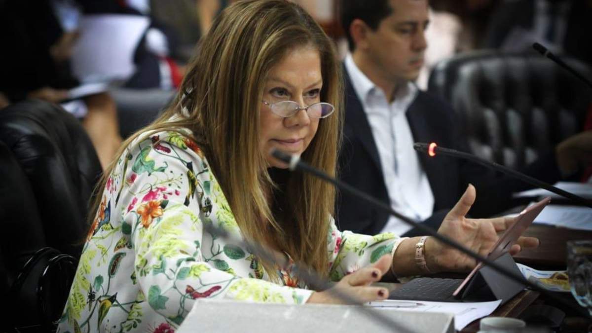 Graciela Camaño, diputada de la provincia de Buenos Aires. Fuente: (Twitter)