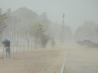 Alerta meteorológica por vientos fuertes en Neuquén y Río Negro