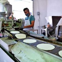 El maíz, prioritario para México, no para EU ni Canadá