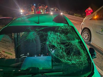 Un auto chocó contra un caballo en Bajo del Toro: el conductor fue hospitalizado