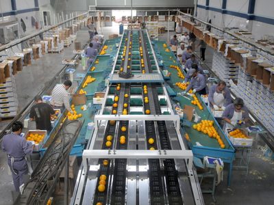 ¡Para evitar la crisis! Perotti destinará 4.000 millones de pesos para subvencionar a las pymes