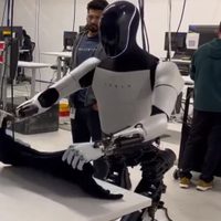 Elon Musk presume en X su mejorado robot Optimus (videos)