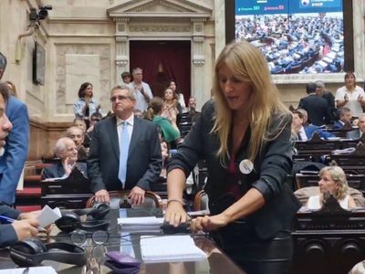 Reforma laboral: una diputada de UxP desenchufó micrófonos para interrumpir la sesión