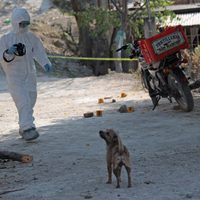 Más de 12 mil niños han sido asesinados en el sexenio de AMLO: Tejiendo Redes
