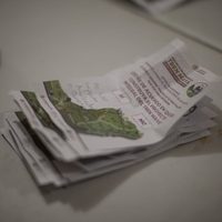 Jueza acota alcances de amparo otorgado a la comunidad de Xpujil contra el Tren Maya