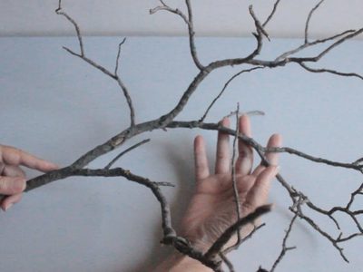 Aprovechá el otoño para recolectar ramas secas: así podés crear este hermoso porta joyas, con estilo natural