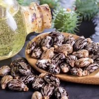 Los beneficios del aceite de ricino para tus pestañas: avalados por la ciencia y fáciles de aprovechar en casa