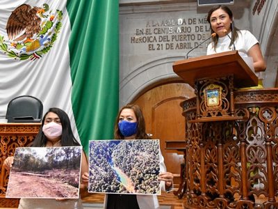 Denuncian que complejos inmobiliarios privatizan agua en Valle de Bravo; AMLO interviene