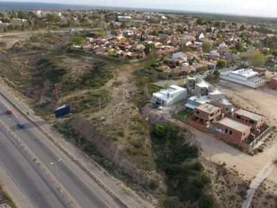 Solicitan suspender la tala de árboles en Terrazas del Neuquén
