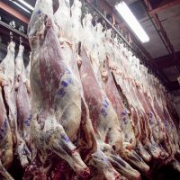 Estados Unidos cuadriplicó la cuota de compra de carne vacuna argentina