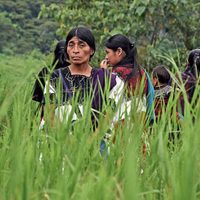 Desapariciones y cientos de desplazados tras la batalla de Lajerío en Chiapas