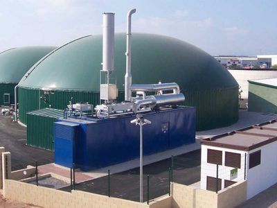 La Secretaría de Energía autorizó el ingreso al mercado eléctrico de dos centrales térmicas a biogás