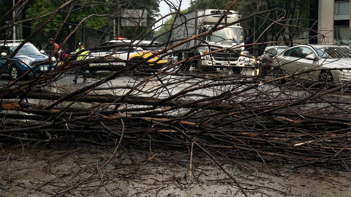 Un árbol fue derribado por los fuertes vientos de la tormenta de la tarde del lunes en la Ciudad de México en el cruce de Alfonso Reyes y Diagonal Patriotismo (Circuito Interior)