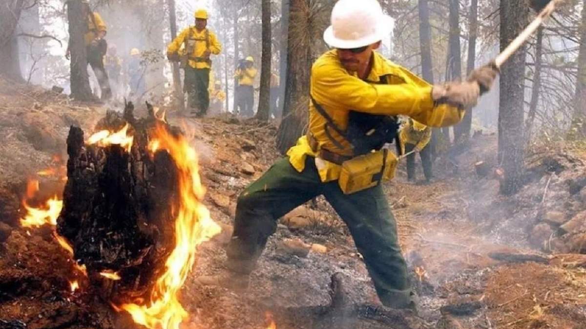 Los incendios forestales son provocados por tormentas eléctricas o caída de árboles sobre tendido de cables. Fuente: (Noticias Nqn)