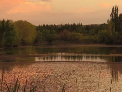 Vecinos de Altos del Limay insisten en frenar los loteos cercanos al río por la afectación de la flora y fauna