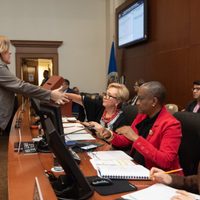 OEA llama a realizar elecciones en Bolivia; Áñez lanzaría convocatoria por decreto