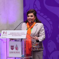 ONG expresan “profunda preocupación” por la Alerta por Violencia de Género de Brugada