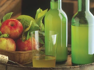 En San Patricio del Chañar, lanzan un curso para elaborar sidra artesanal
