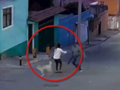 Mujer es atacada con un machete por defender a perros callejeros en Puebla