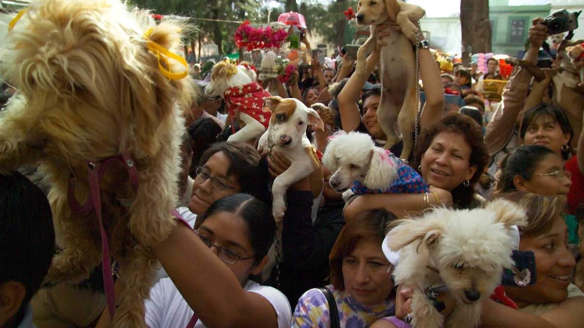 Varias personas muestran a sus mascotas