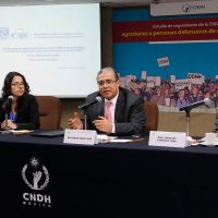 En 22 entidades falta la ley para proteger a defensores de derechos humanos: CNDH