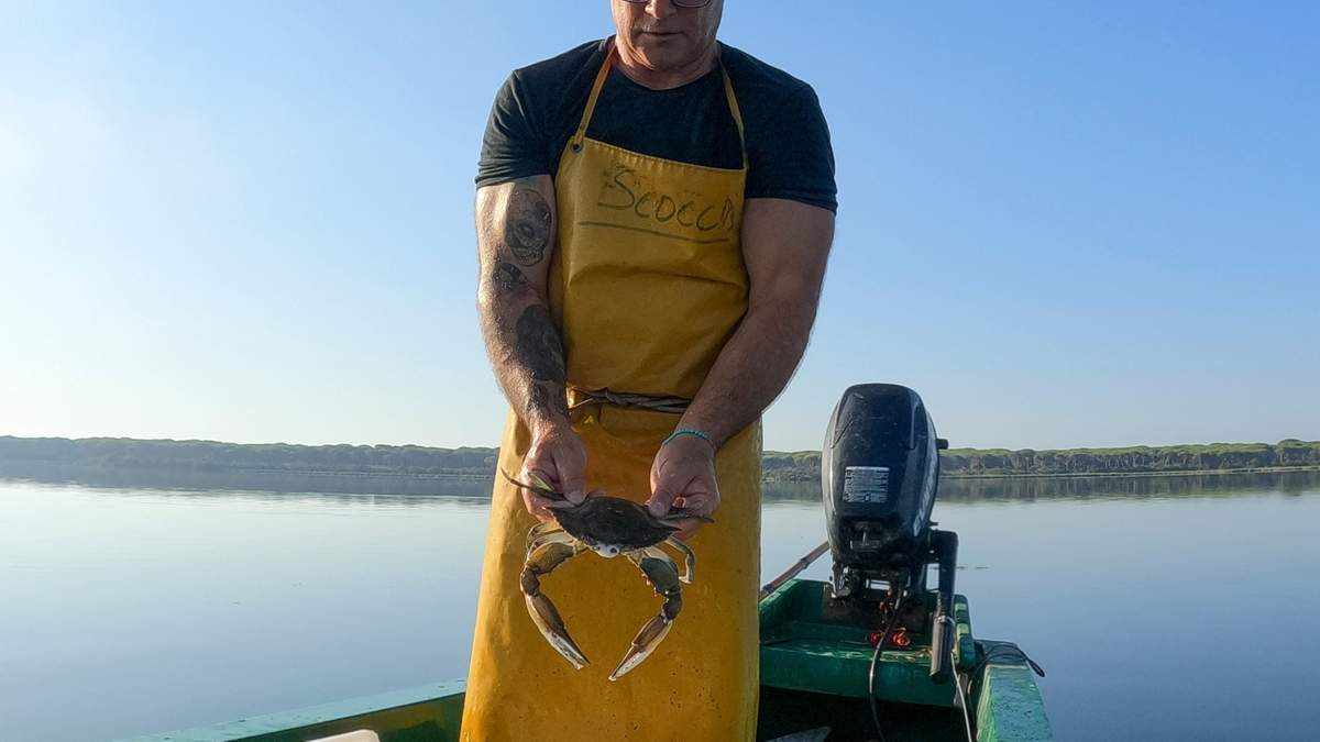 Un pescador sostiene un cangrejo azul en la laguna de Orbetello, Italia