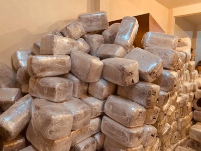 FGR aseguró 11 toneladas de marihuana y de metanfetaminas durante 2021 en región noroeste