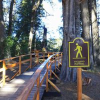 Denuncian el mal estado de un sendero natural que había sido inaugurado hace cinco meses