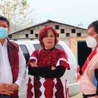El TEPJF retira candidatura de Morena en Chiapas por documentación "apócrifa"