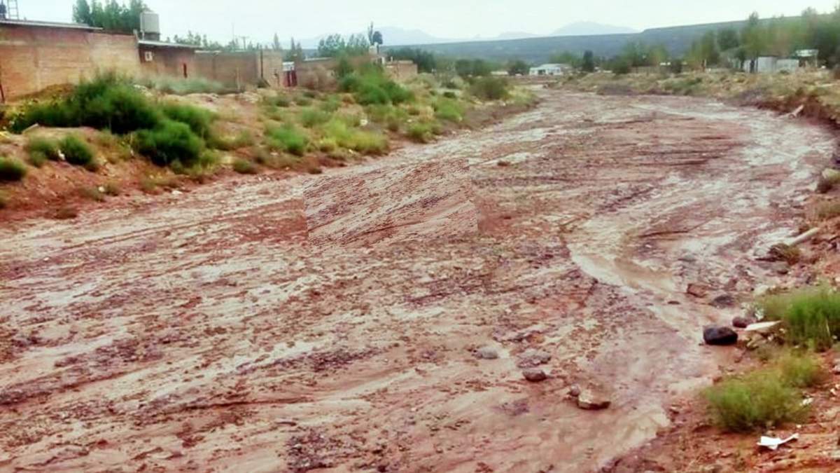 Milagro en Rincón de los Sauces Fuente: (Twitter)