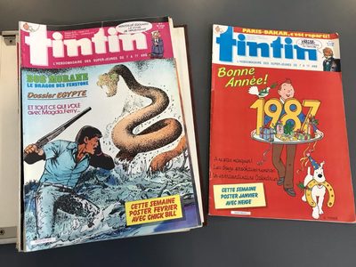 Queman en Canadá casi 5 mil cómics y libros por "mostrar prejuicios contra los indígenas"
