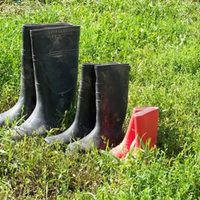 Tranformá el jardín sin gastar un solo peso con esas botas de lluvia viejas que ibas a tirar