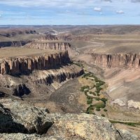 Entre fauna y paisajes imponentes: la aventura que convierte al puma en protagonista de Parque Patagonia
