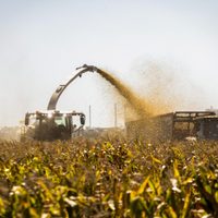 Caputo dio detalles del esquema de baja de retenciones