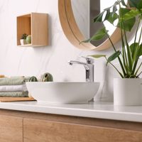 La famosa planta que atrae abundancia y podés tener en tu baño