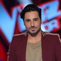 Con Paula Echevarría embarazada, las miradas apuntan indirectamente a David Bustamante