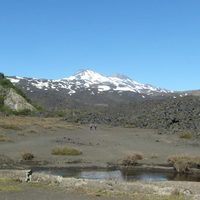 ¡Alerta en el norte neuquino! Se registró un sismo en un volcán