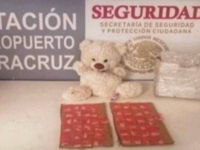 Aseguran en Veracruz 50 dosis de crystal escondidas en un oso de peluche