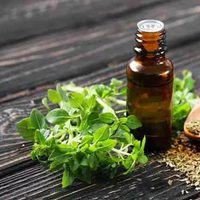Cómo hacer tu propio aceite de orégano casero y así obtener increíbles beneficios para la salud