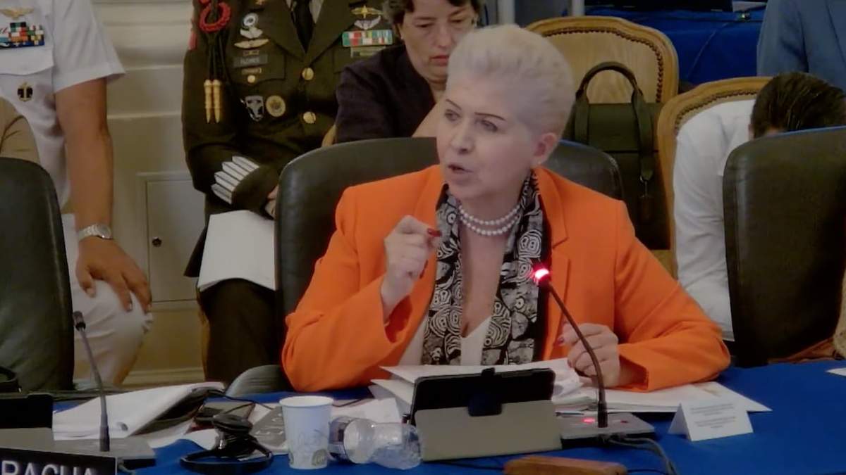 Luz Elena Baños en la sesión del Consejo Permanente de la OEA