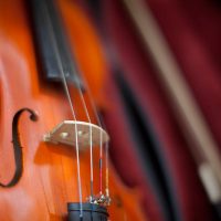 La medicina y los músicos