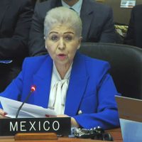 México defiende en la OEA el asilo a la exprimera ministra de Perú, Betssy Chávez